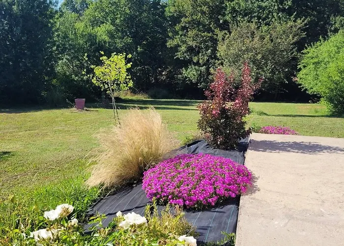 L'oliviers * Cadeilhan